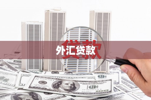 雁江外汇贷款