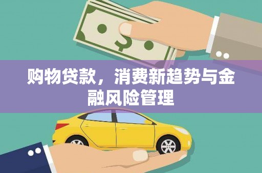 雁江购物贷款，消费新趋势与金融风险管理
