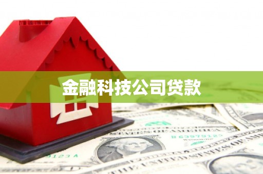 雁江金融科技公司贷款