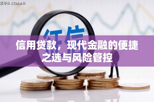 雁江信用贷款，现代金融的便捷之选与风险管控