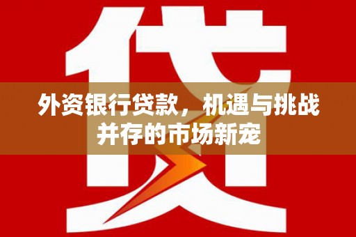 雁江外资银行贷款，机遇与挑战并存的市场新宠