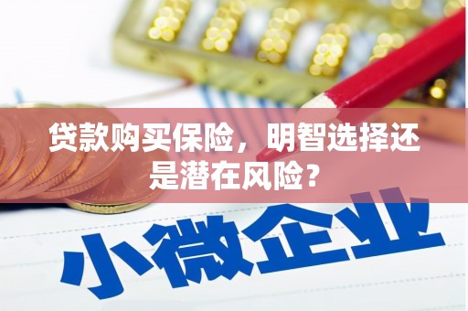 雁江贷款购买保险，明智选择还是潜在风险？
