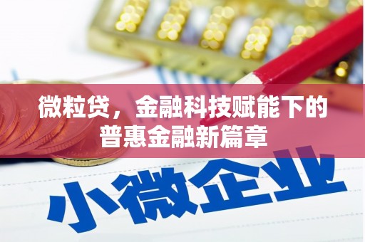 雁江微粒贷，金融科技赋能下的普惠金融新篇章
