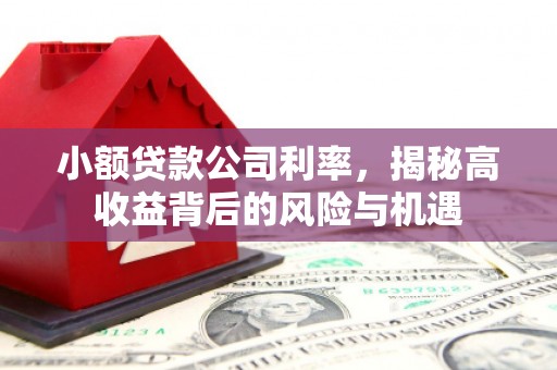 雁江小额贷款公司利率，揭秘高收益背后的风险与机遇