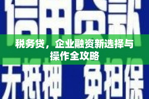 雁江税务贷，企业融资新选择与操作全攻略