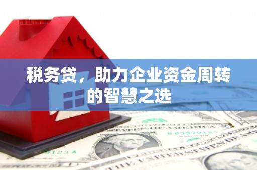 雁江税务贷，助力企业资金周转的智慧之选