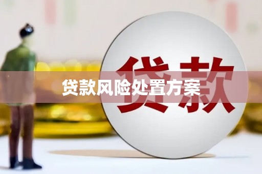 雁江贷款风险处置方案