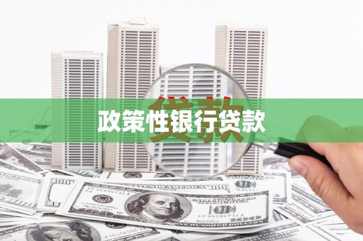 雁江政策性银行贷款
