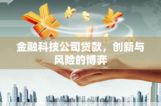 雁江金融科技公司贷款，创新与风险的博弈