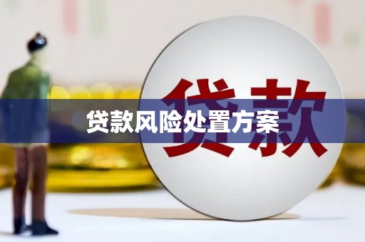 雁江贷款风险处置方案