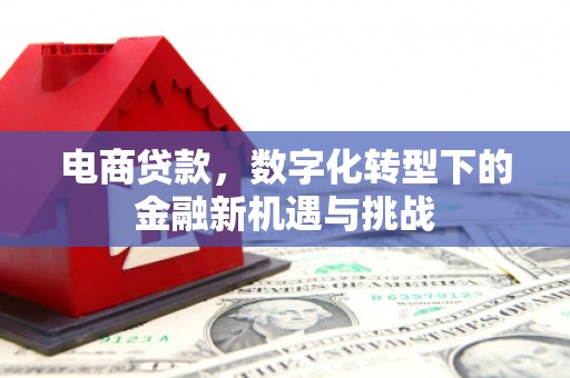雁江电商贷款，数字化转型下的金融新机遇与挑战
