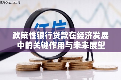雁江政策性银行贷款在经济发展中的关键作用与未来展望