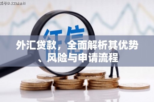 雁江外汇贷款，全面解析其优势、风险与申请流程