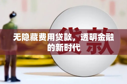 雁江无隐藏费用贷款，透明金融的新时代