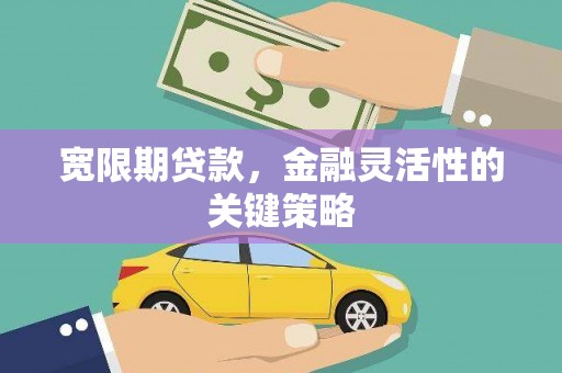 雁江宽限期贷款，金融灵活性的关键策略