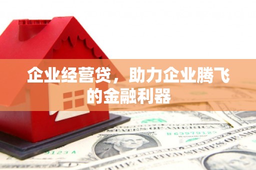 雁江企业经营贷，助力企业腾飞的金融利器