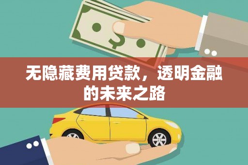雁江无隐藏费用贷款，透明金融的未来之路