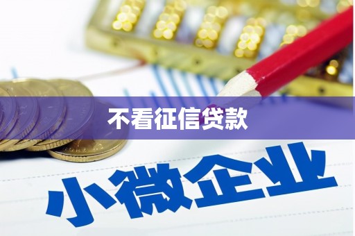 雁江不看征信贷款