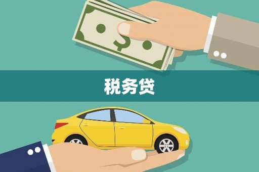 雁江税务贷