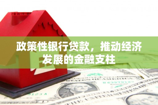 雁江政策性银行贷款，推动经济发展的金融支柱