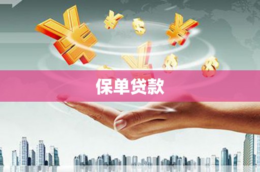 雁江保单贷款