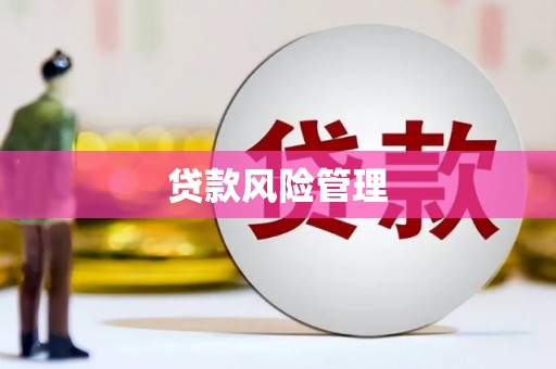 雁江贷款风险管理