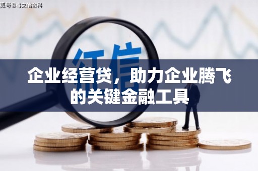雁江企业经营贷，助力企业腾飞的关键金融工具