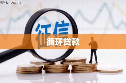 雁江循环贷款
