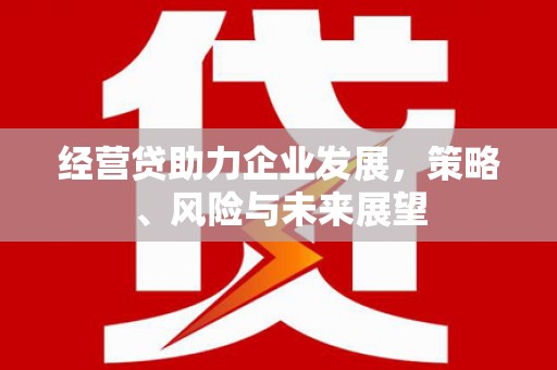 雁江经营贷助力企业发展，策略、风险与未来展望