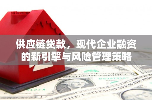 雁江供应链贷款，现代企业融资的新引擎与风险管理策略