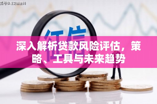 雁江深入解析贷款风险评估，策略、工具与未来趋势