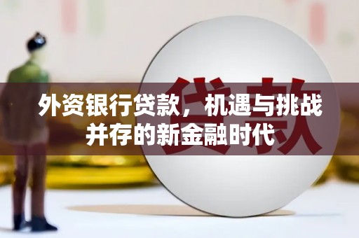 雁江外资银行贷款，机遇与挑战并存的新金融时代