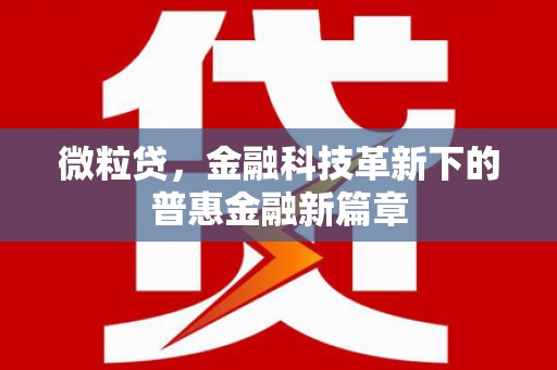 雁江微粒贷，金融科技革新下的普惠金融新篇章