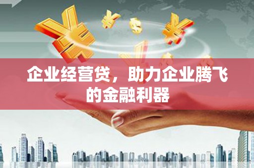 雁江企业经营贷，助力企业腾飞的金融利器