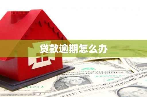 雁江贷款逾期怎么办