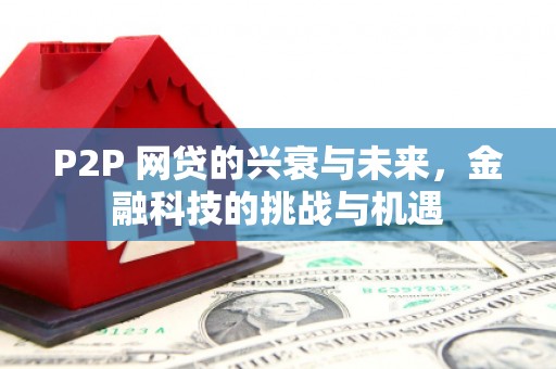 雁江P2P 网贷的兴衰与未来，金融科技的挑战与机遇