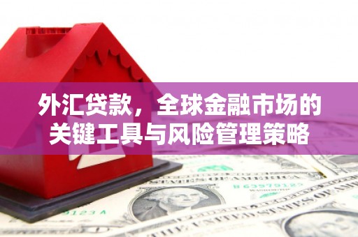 雁江外汇贷款，全球金融市场的关键工具与风险管理策略
