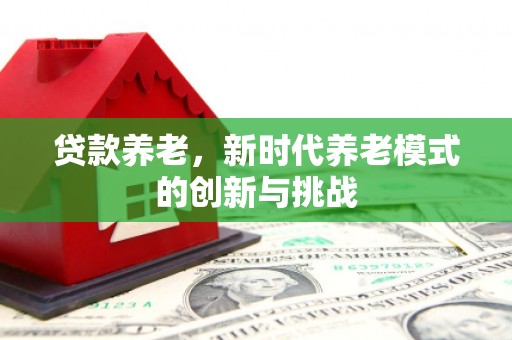 雁江贷款养老，新时代养老模式的创新与挑战