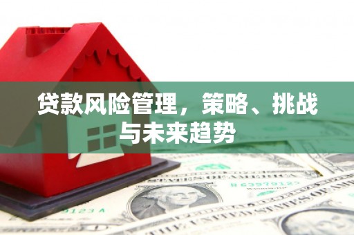 雁江贷款风险管理，策略、挑战与未来趋势