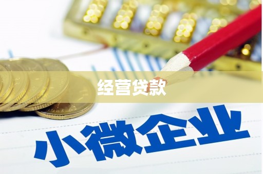 雁江经营贷款