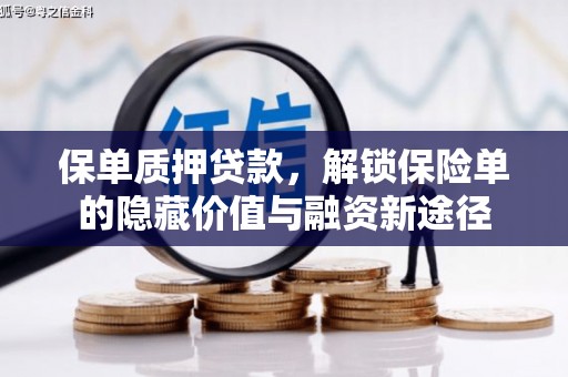雁江保单质押贷款，解锁保险单的隐藏价值与融资新途径