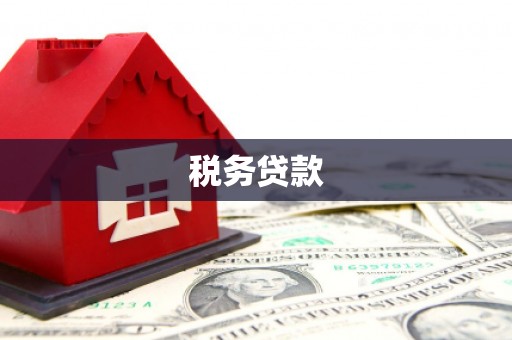 雁江税务贷款