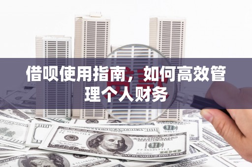 雁江借呗使用指南，如何高效管理个人财务