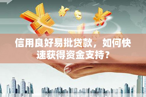 雁江信用良好易批贷款，如何快速获得资金支持？