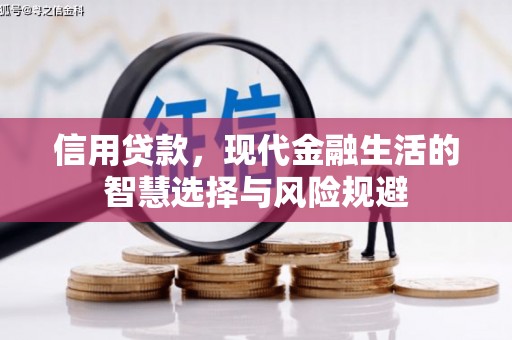 雁江信用贷款，现代金融生活的智慧选择与风险规避