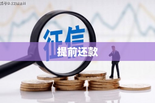 雁江提前还款
