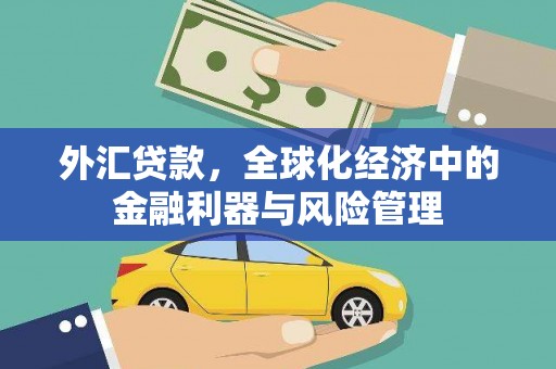 雁江外汇贷款，全球化经济中的金融利器与风险管理