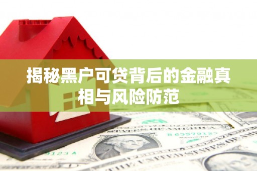 雁江揭秘黑户可贷背后的金融真相与风险防范