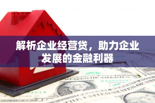 雁江解析企业经营贷，助力企业发展的金融利器