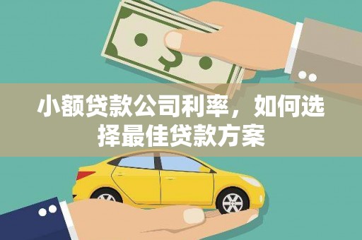 雁江小额贷款公司利率，如何选择最佳贷款方案